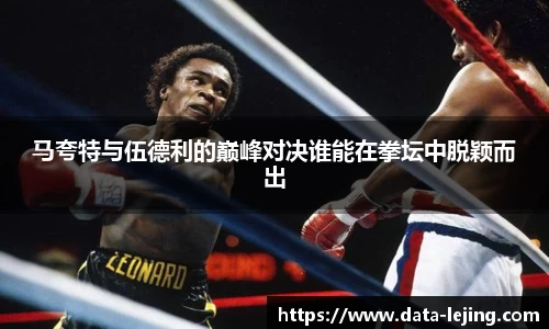 马夸特与伍德利的巅峰对决谁能在拳坛中脱颖而出